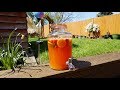 Summer fruit punch nonalcoholic bbq drink recipe for vegans