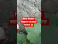বিনা হিসেবে জান্নাতে যাওয়ার আমল #viral #dua #amal #trending #shortvideo #waz #islamic #motivation