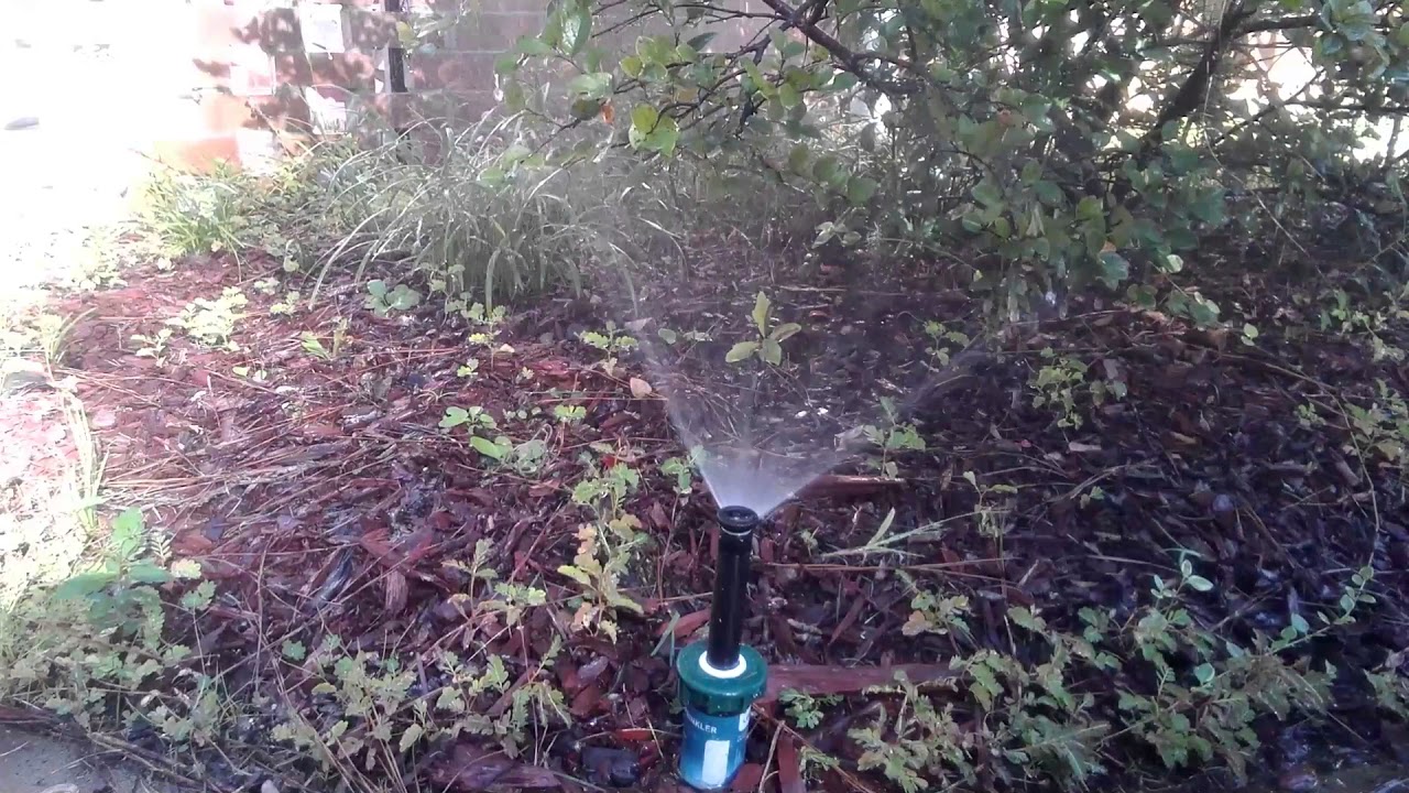 Orbit hard top sprinkler head YouTube