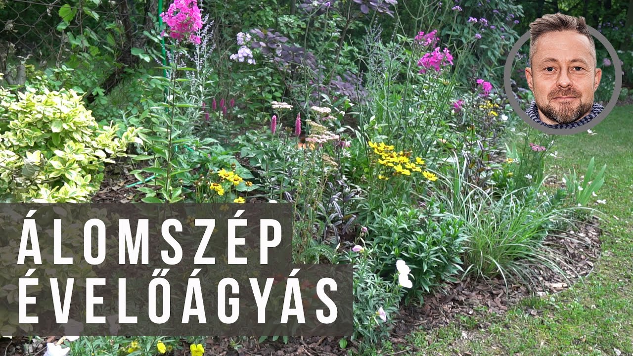 Évelő-ágyás tunning Szomoru Miklóssal | kert TV