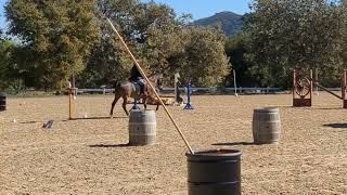 How to Ride the Jug Obstacle in Working Equitation