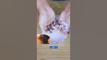 Oobleck – The Weird Science of Non-Newtonian Fluids