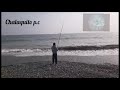 Pescador pesca peces extraños (pez guitarra)# peces extraños #ventanilla_callao