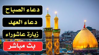 دعاء الصباح - دعاء العهد - زيارة عاشوراء بث مباشر من كربلاء المقدسة karbala live