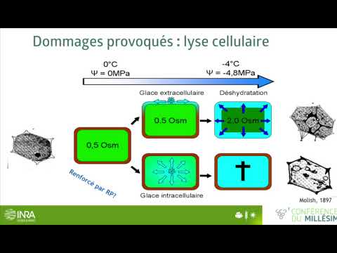 2017 Bordeaux Conference du Millesime - Guillaume Charrier