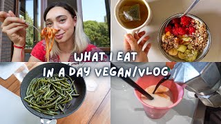 cosa mangio in un giorno Vlog // vegan