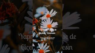 Çiçekler Üşümesin...