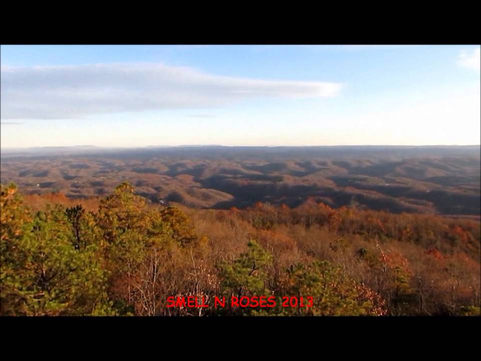 Birch Knob Observation Tower on Pine Mountain, Dickenson County