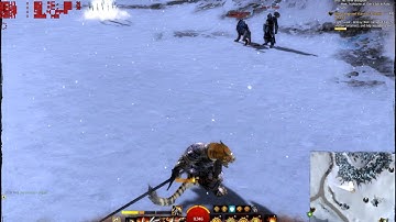 Guild Wars 2: Weird animation