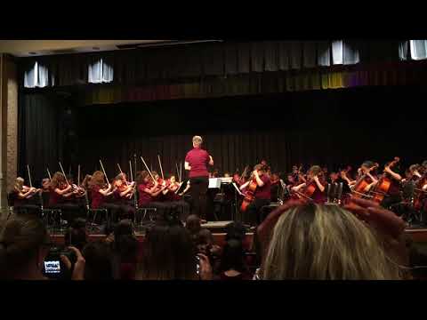 Lovinggood Middle School Orchestra