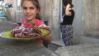 Passagem da Imagem Rua das Amoreiras e Chegada há Igreja