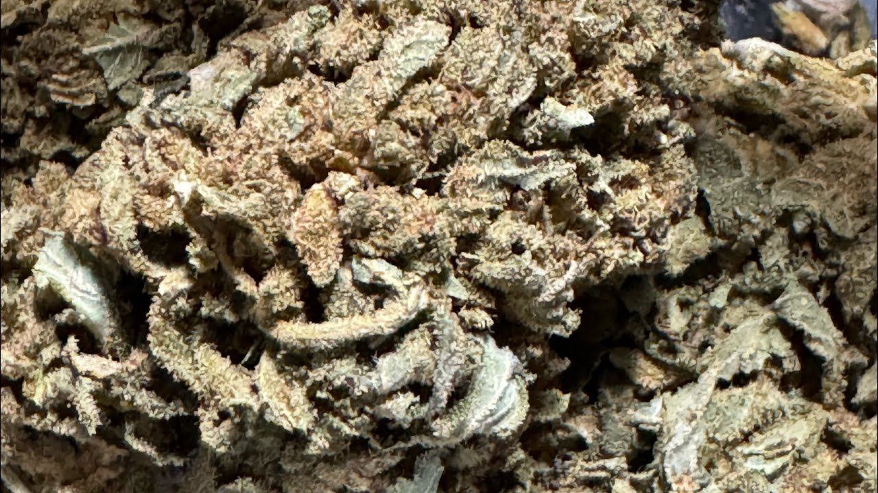 UNBOXING + CODE PROMO CBD MADE IN FRANCE RAPPORT QUALITÉ/PRIX IMBATTABLE 🌳