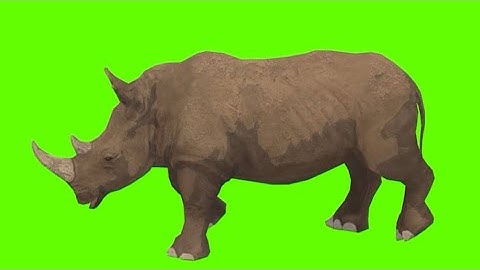 Green Screen Rhinoceros 🦏 Walking, Running, Attacking & Dying | #greenscreenvideo #rhinoceros