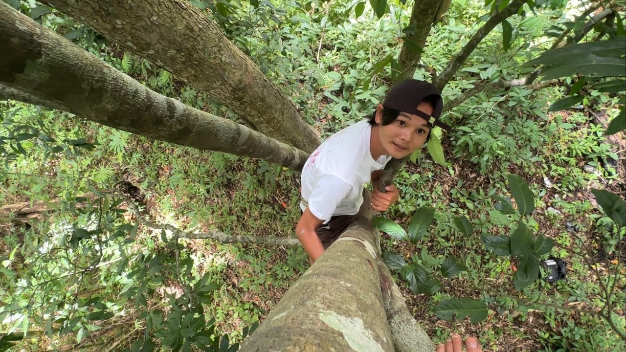 วางแผนล้อมจับ“ผีป่า”เกือบจับมันได้!!!