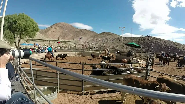Michelle Cheek March 2015 CCR