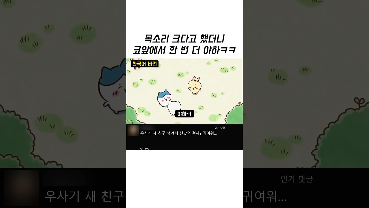 [한일비교] 목소리 크다고 했더니 코앞에서 한 번 더 소리지르는 우사기ㅋㅋ