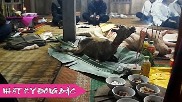 NHẬT KÝ ĐÔNG BẮC - LỄ MÃN TANG CỦA NGƯỜI NÙNG PHẦN 2