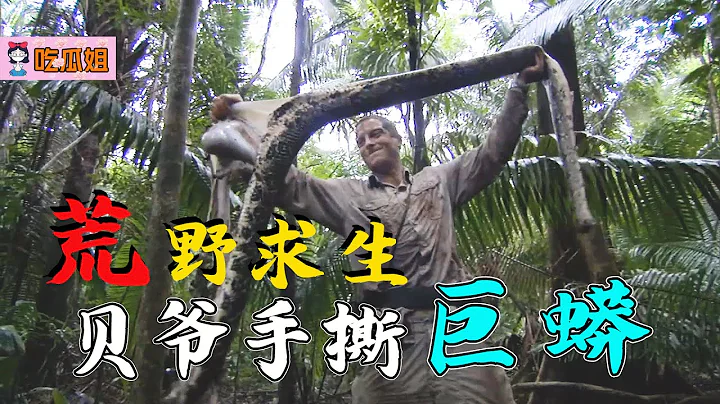 貝爺挑戰巴拿馬雨林，一招手撕大蟒蛇，拼了老命吃這頓肉！ - 天天要聞
