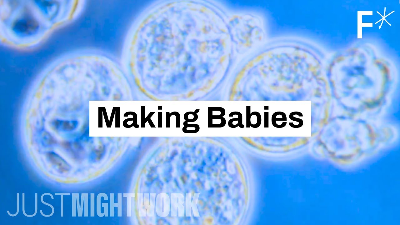 IVG: 10 years until the end of infertility | Just Might Work