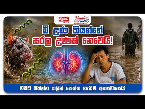 මී උණ කියන්නේ සරල උණක් නෙවෙයි! මඩට බහින්න කලින් පෙත්ත ගැනීම අත්‍යවශ්‍යයි | YouthWell with Dr.Vipula