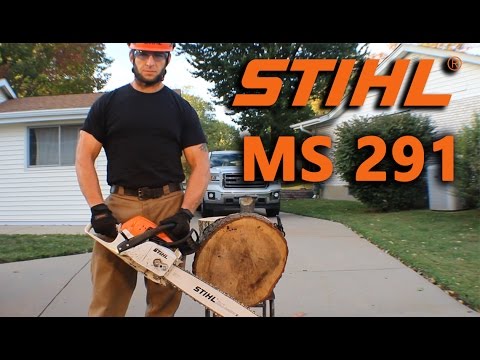 Stihl MS 291 Overview/Review