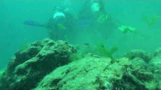 Student Checkout Dives 2