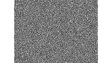 2D Dry Foam: Coarsening of 20000 cell foam