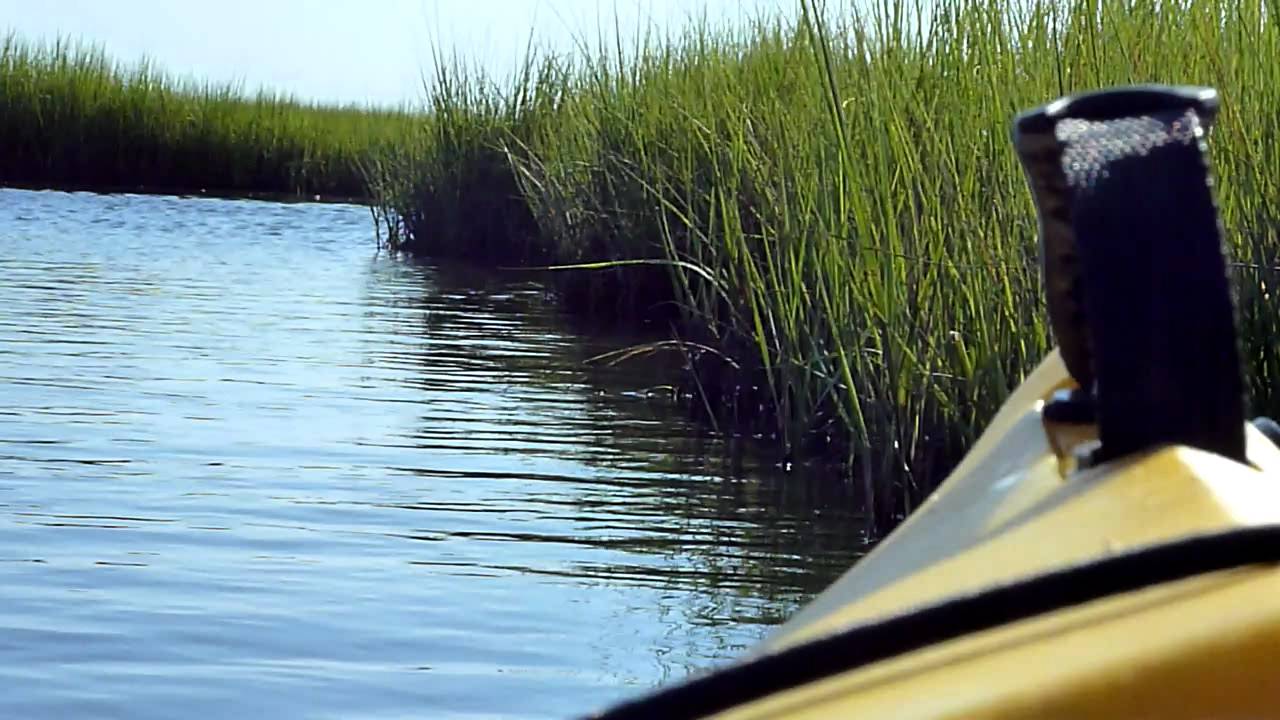Kayaking around Sedge Islands of Island Beach State Park YouTube