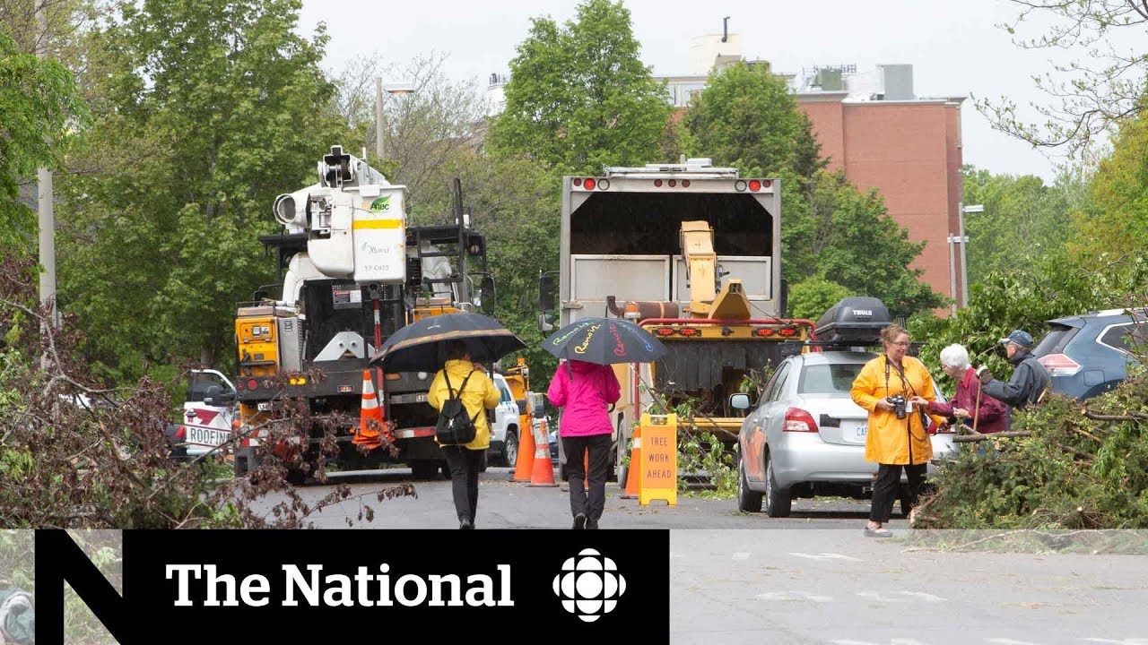 Emergency tornado alert wasn't issued to everyone, Ottawans complain journalism internships