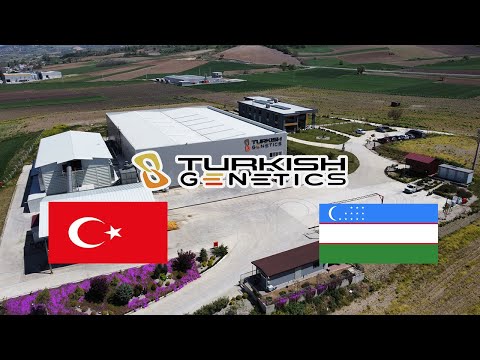 Turkish Genetics, Özbek Misafirlerimizi Tesis ve Tarlalarımızda Ağırladı 🇺🇿🌽
