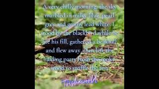 Good morning from Trishaworld 868!