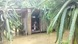 Solo survival || The hut almost sank due to heavy rain.