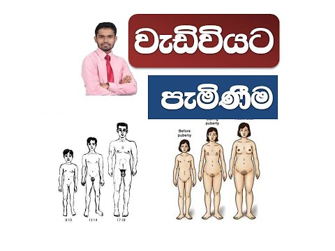 Puberty.....GuruEdiri youtube channel.....වැඩිවියට පත්වීම..... ගැහැණු ළමුන් පිරිමි ළමුුන් ලොකුවීම