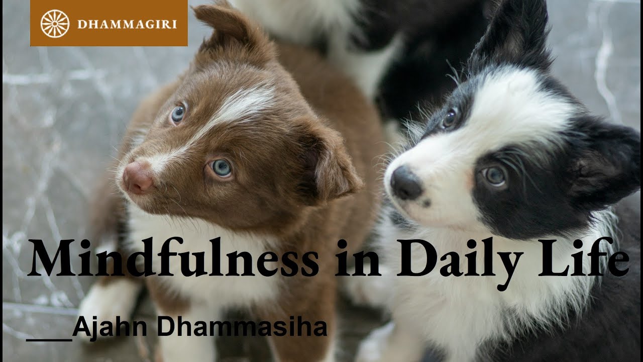 Mindfulness in Daily Life | Sati | Satipatthana | Foundations of Mindfulness | Ajahn Dhammasiha