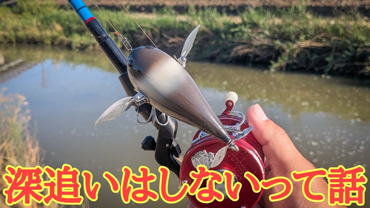 深追いはしないって話【River fishing in Japan】2026年7月26日釣行 8月2日投稿
