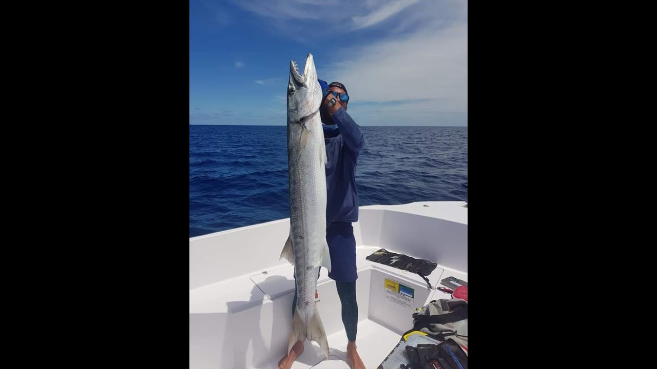 Énorme Barracuda au Jig - Seychelles