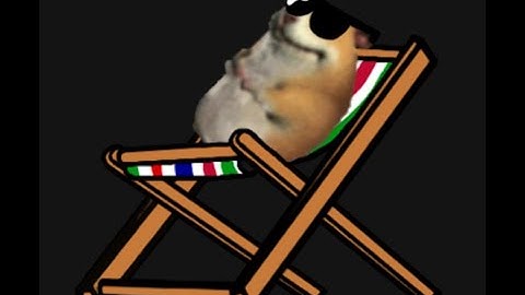 How to Find "Resting Chomik" In Find the Chomiks