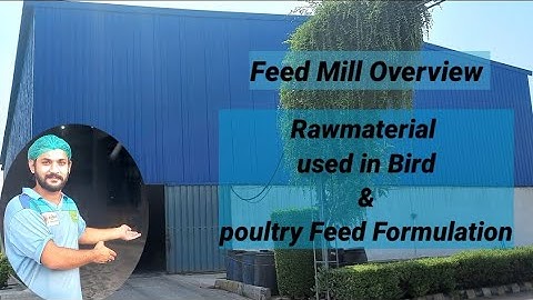 Feed Milling Overview | vlog#1 | Rawmaterial Used In | 🐔🐓🐥 | Bird Feed Formulation #Dr Husnain Asif