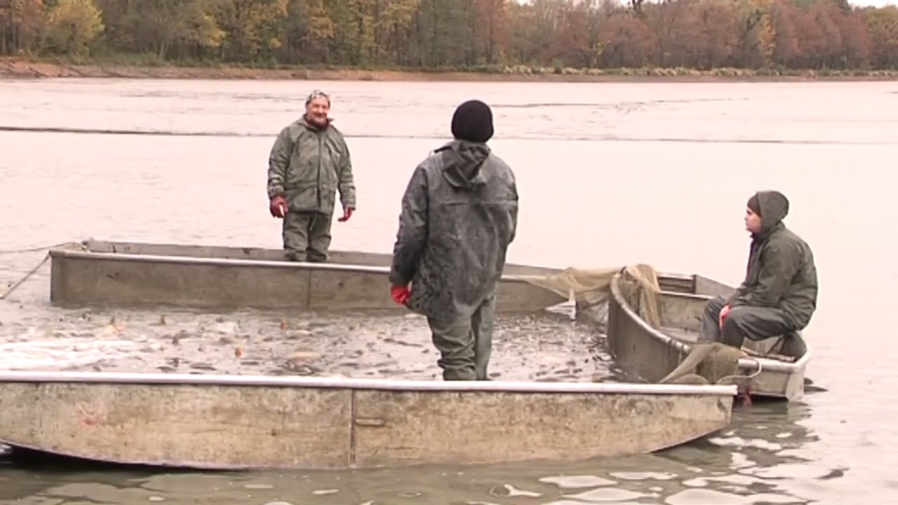 Dolní Benešov ► Výlov rybníka Nezmar  │ #Hlucinsko.TV