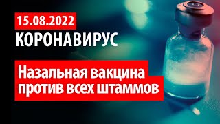 15 августа 2022. Эффективность назальной вакцины. СТатистика коронавируса в России на сегодня