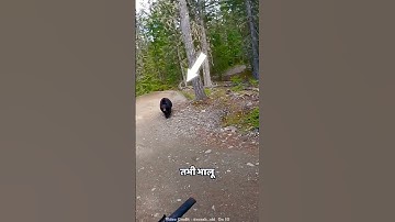 He Froze When He Saw That Bear • #shorts