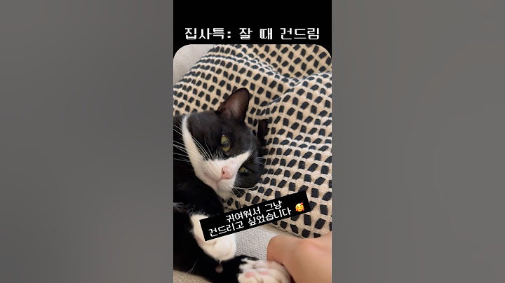 귀여우면 삶이 피곤해짐 😹
