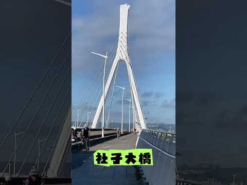 社子大橋 #旅行 #單車#ubike#天氣晴#慧惠老師探險
