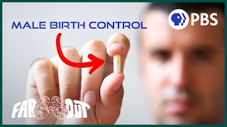 Why Male Birth Control Doesn’t Exist (Yet)