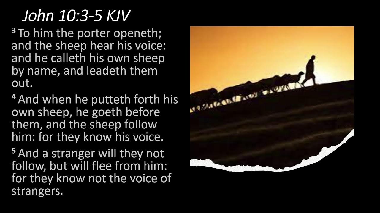 inspirational-nugget-8-18-22-john-10-3-5-the-shepherd-s-voice-rev