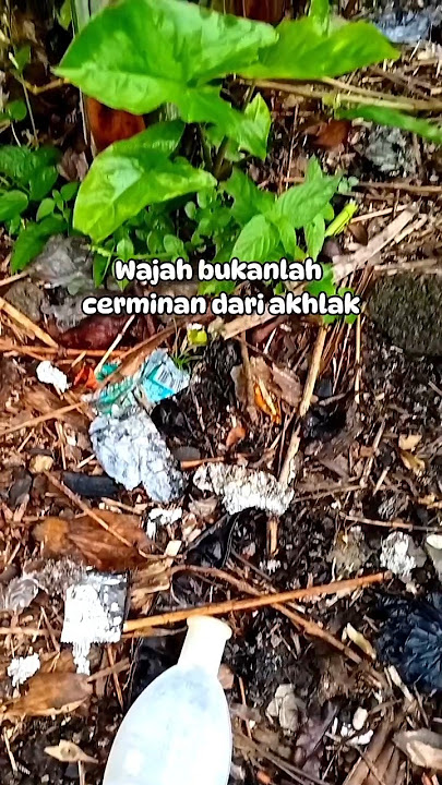 Wajah bukanlah cerminan dari akhlak #katabijakislami#katamutiara #motivasihiduplebihbaik