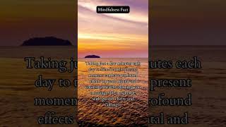 Mindfulness Fact