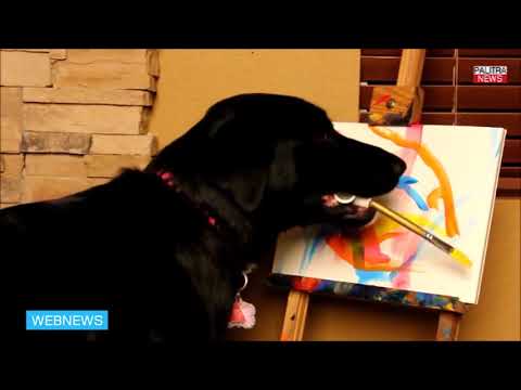 ძაღლს ხატვის ნიჭი აღმოაჩნდა