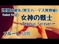 【聖闘士星矢/冥王ハーデス編】女神の戦士 〜Pegasus Forever〜 / Marina del ray【フルートで演奏してみた】SAINT SEIYA