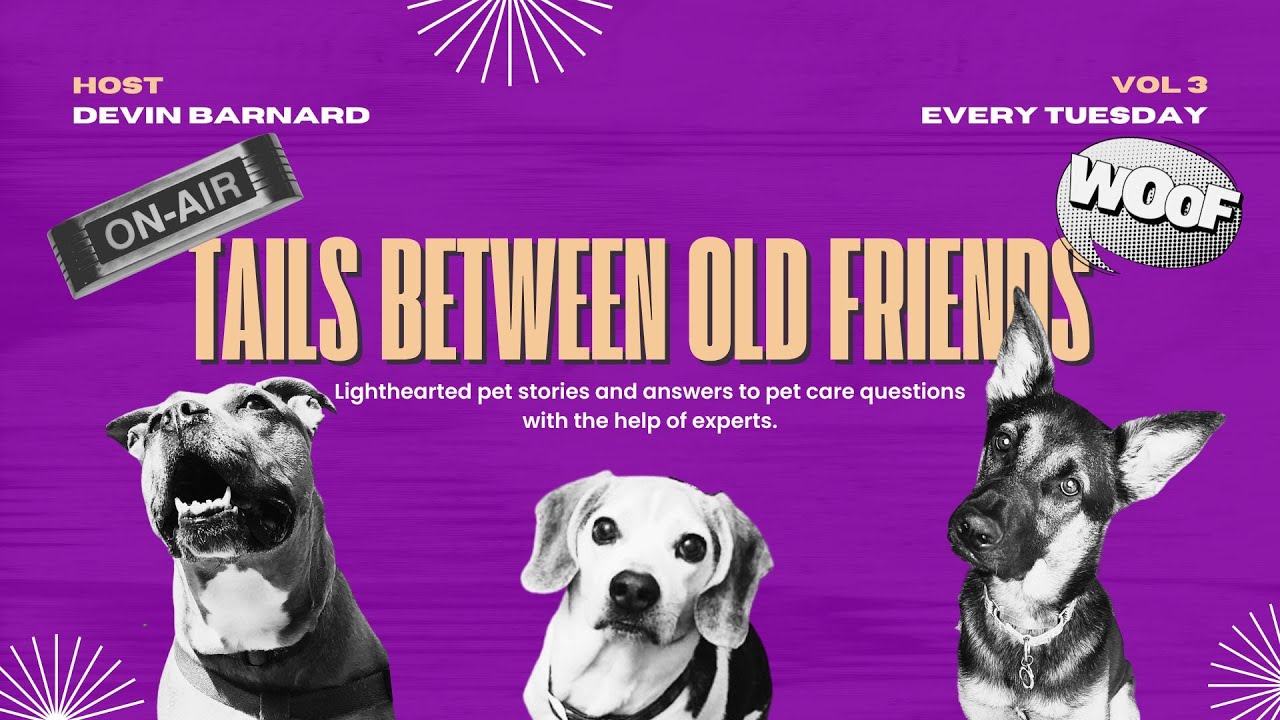 Episode 3: “More Cats, More Worries, and Missing Them Forever” 🐾🎙️